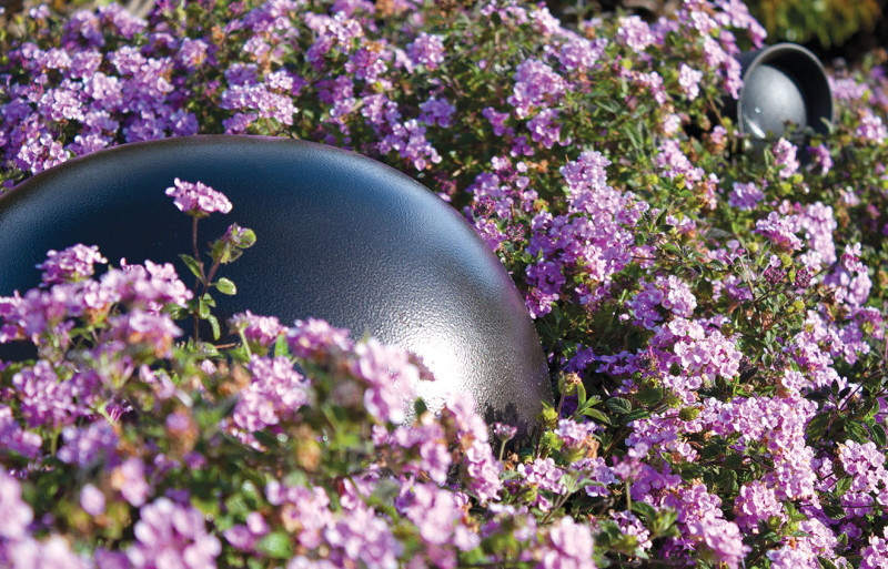 Högtalare bland blommande blommor ger utmärkt ljud och skapar harmoni mellan natur och teknik i trädgården.