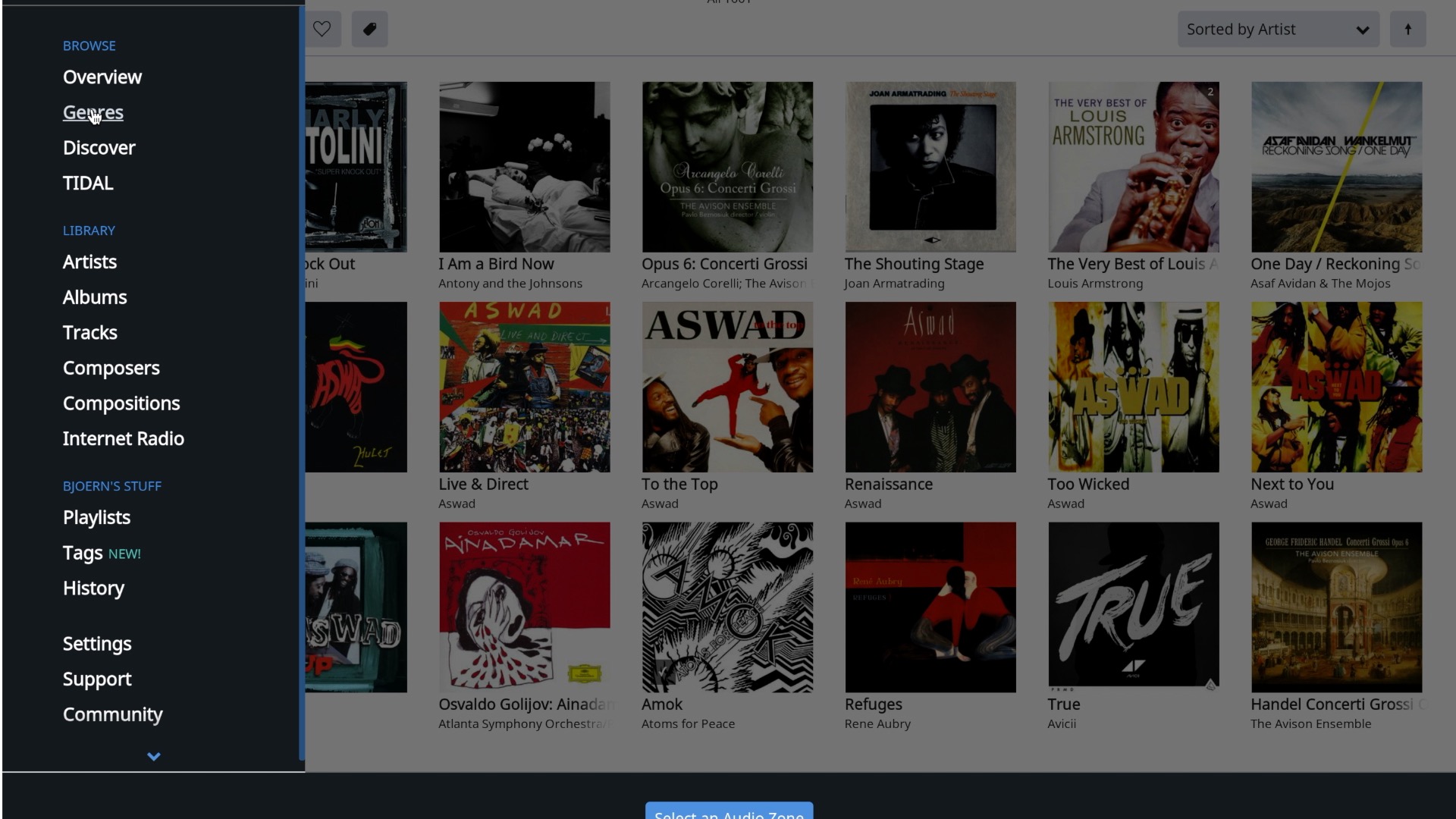 Musikbibliotek med Innuos Zen-musikserver och Roon, perfekt för musikälskare som vill organisera sin samling.