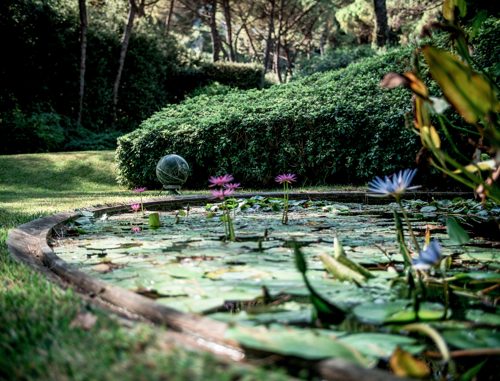 Stagno con ninfee in un giardino toscano, con altoparlante sferico decorativo sullo sfondo.